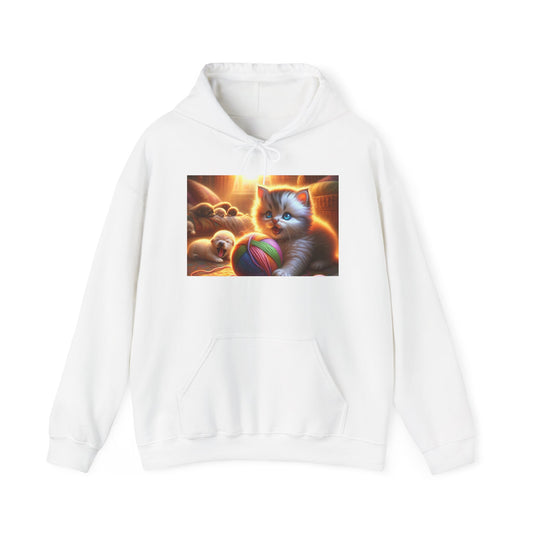 Galaxy Cat Hoodie